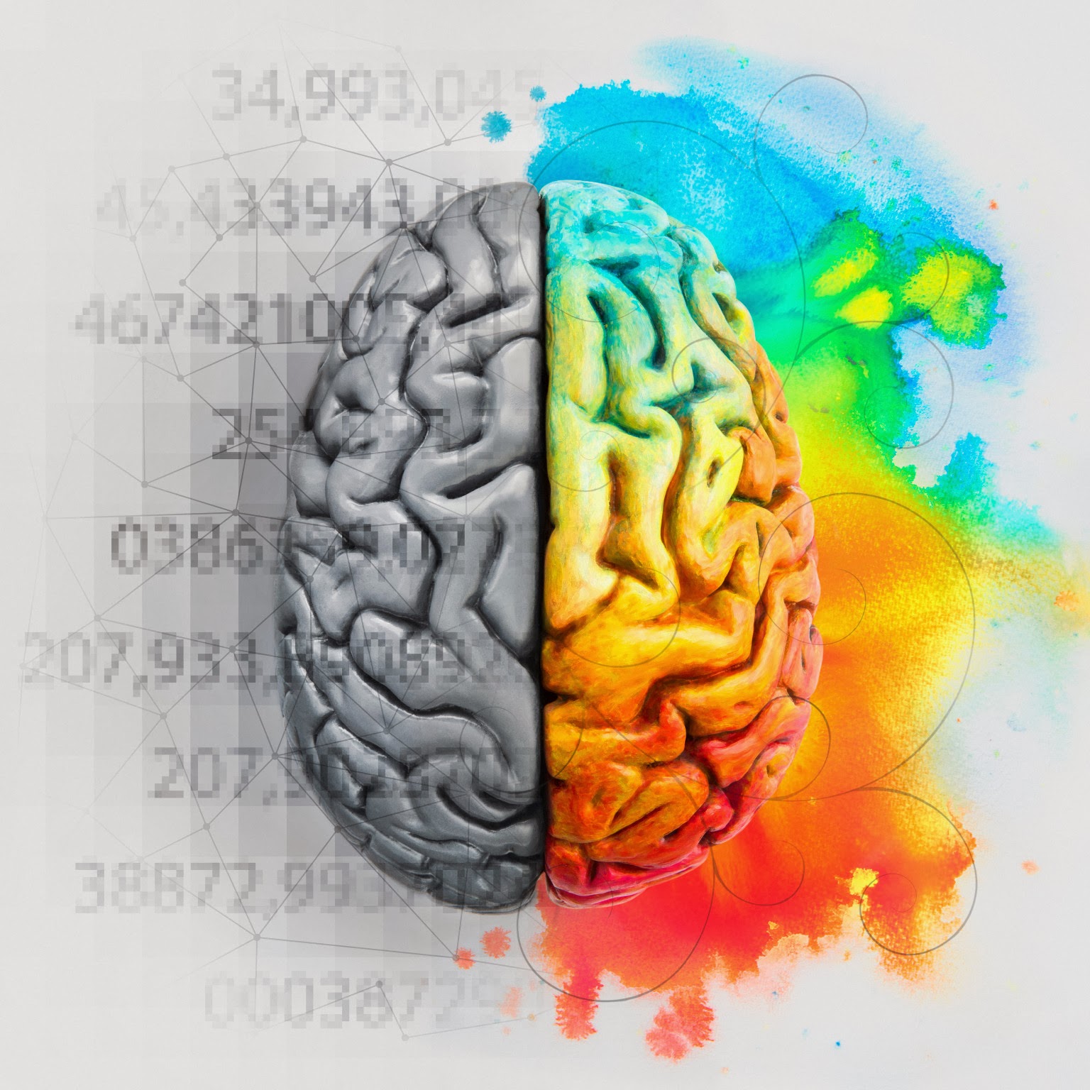 Left and right brain showing different functions