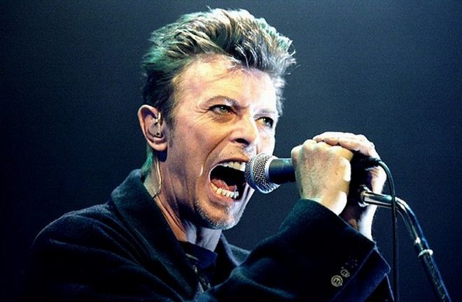 DavidBowie11116sk
