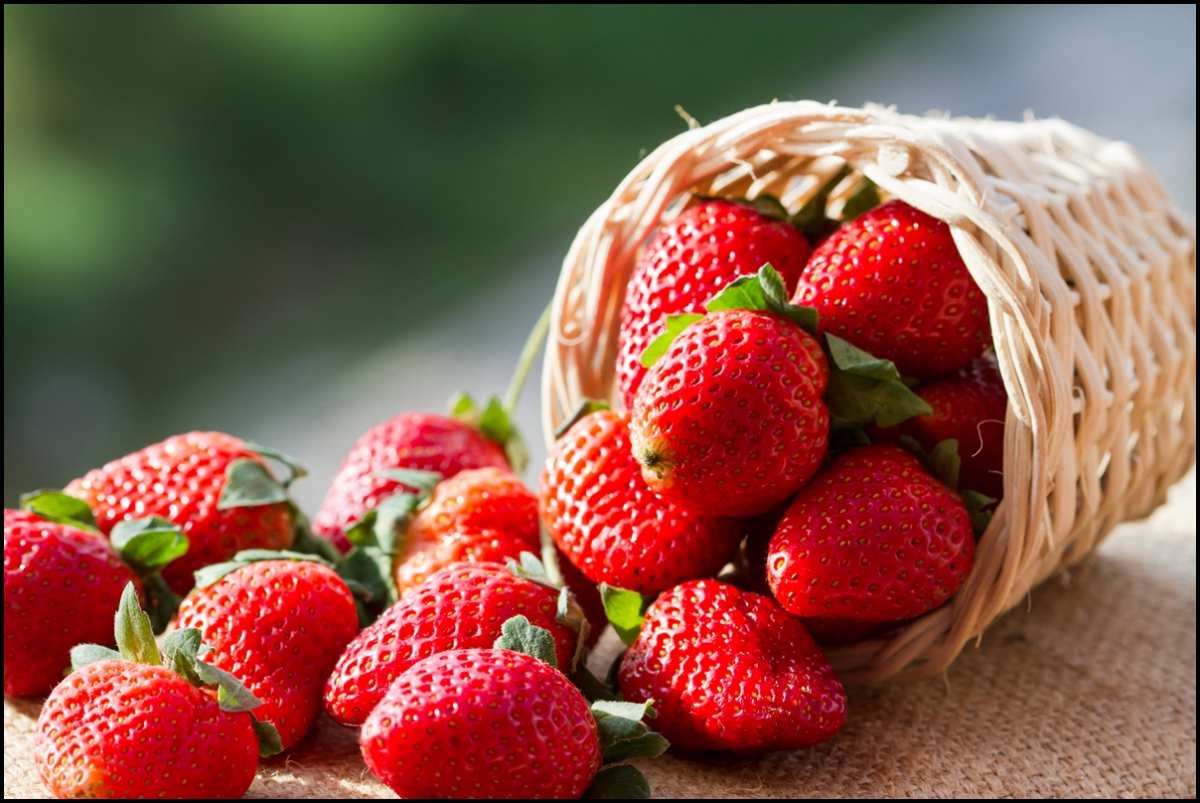 a-small-basket-full-of-strawberries-in-natural-background