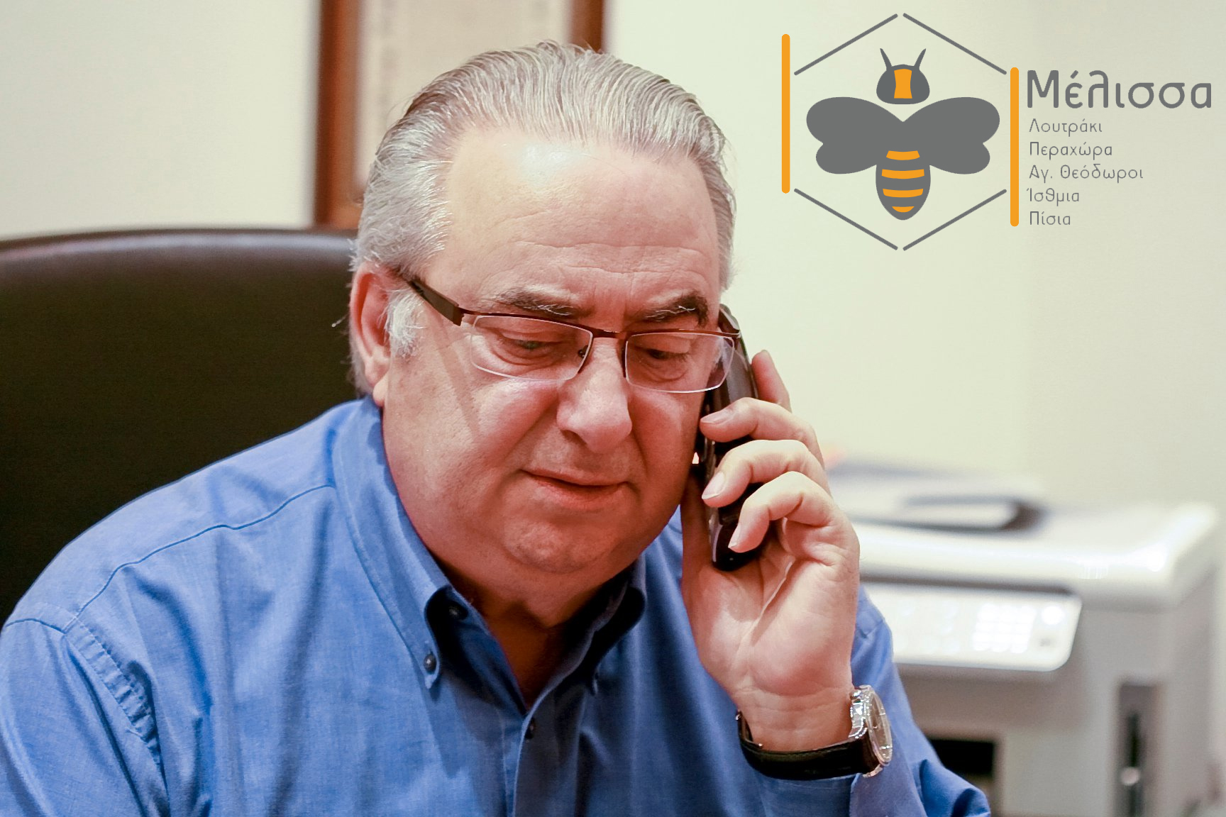 Βασιλείου μέλισσα