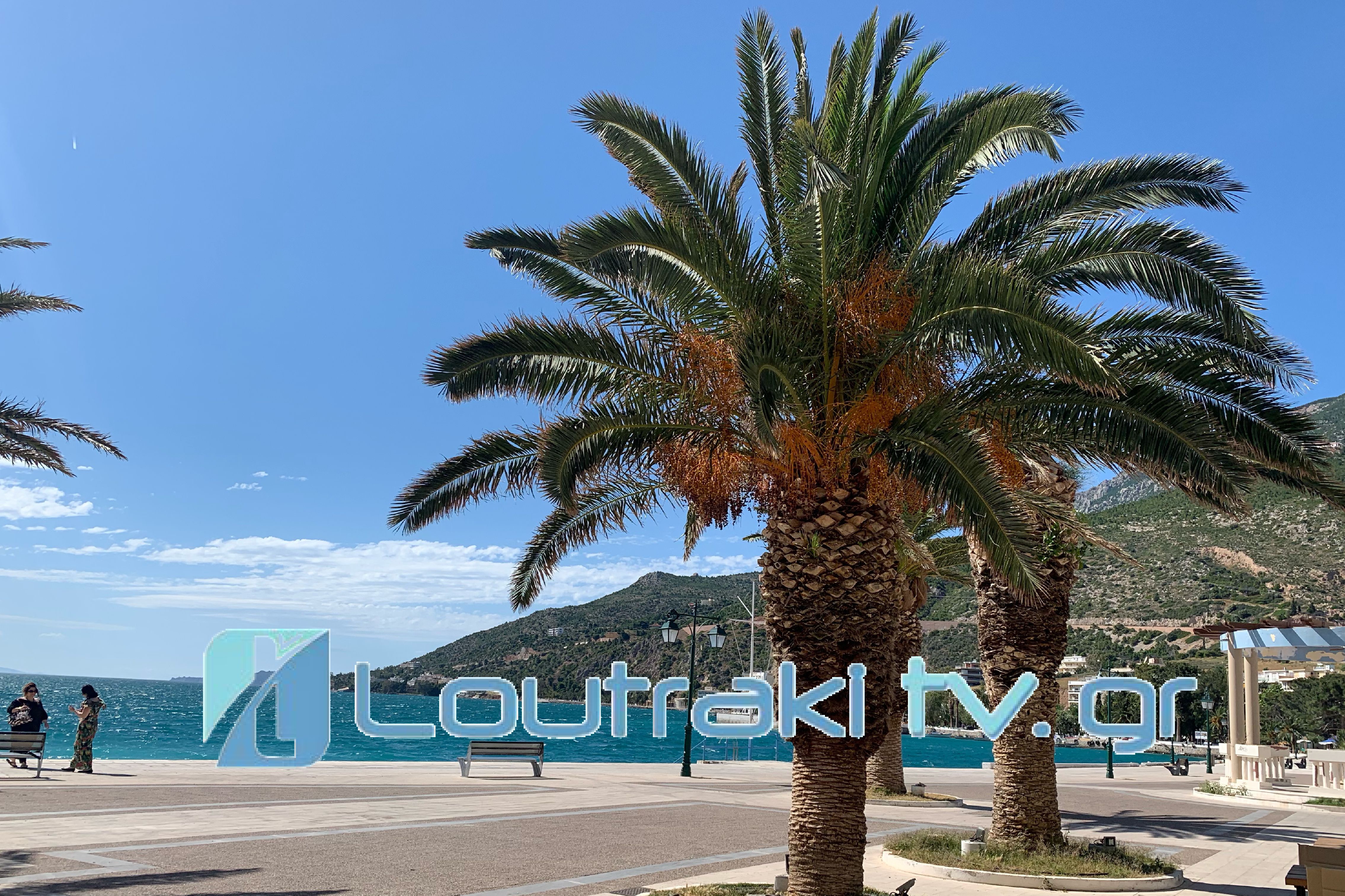 BC3D09AE-1110-42E9-BD44-A4A04DA44300