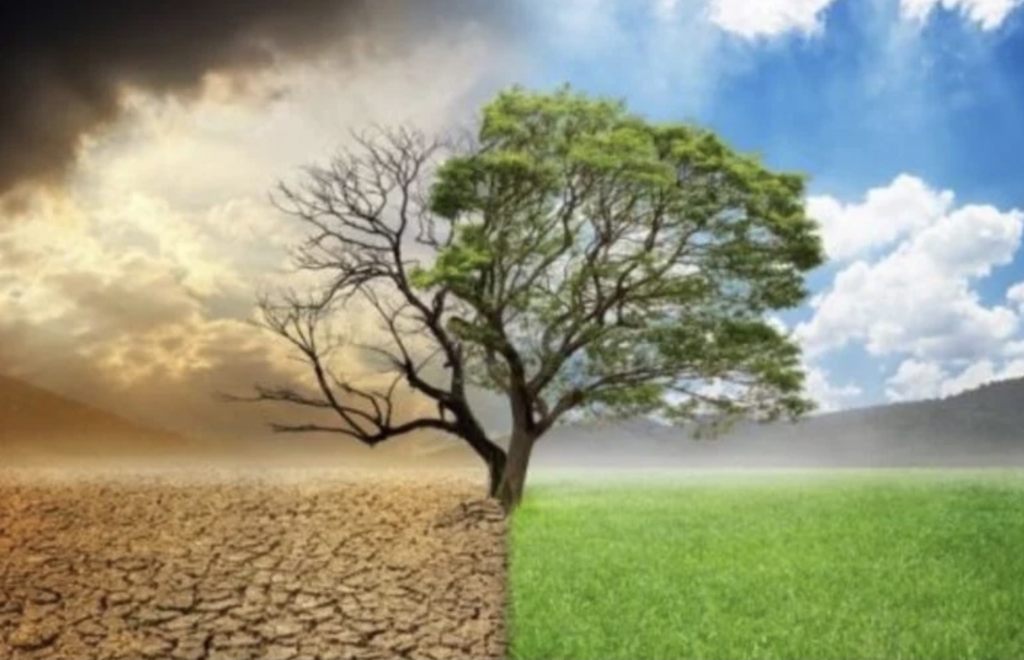 SOS από τους επιστήμονες: Η κλιματική αλλαγή μπορεί να φέρει το τέλος της ανθρωπότητας