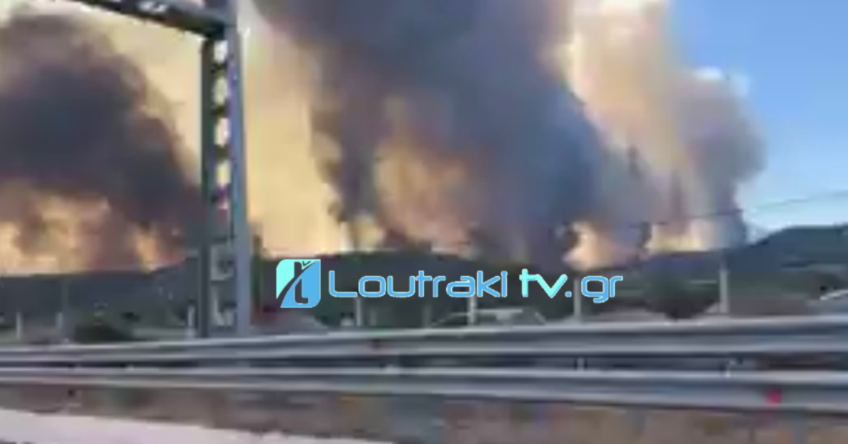 Το Ειδικό Σχολείο Κορίνθου βραβεύτηκε για το Virtual Sport Project που έφεραν οι Αφοί Θεοχάρη