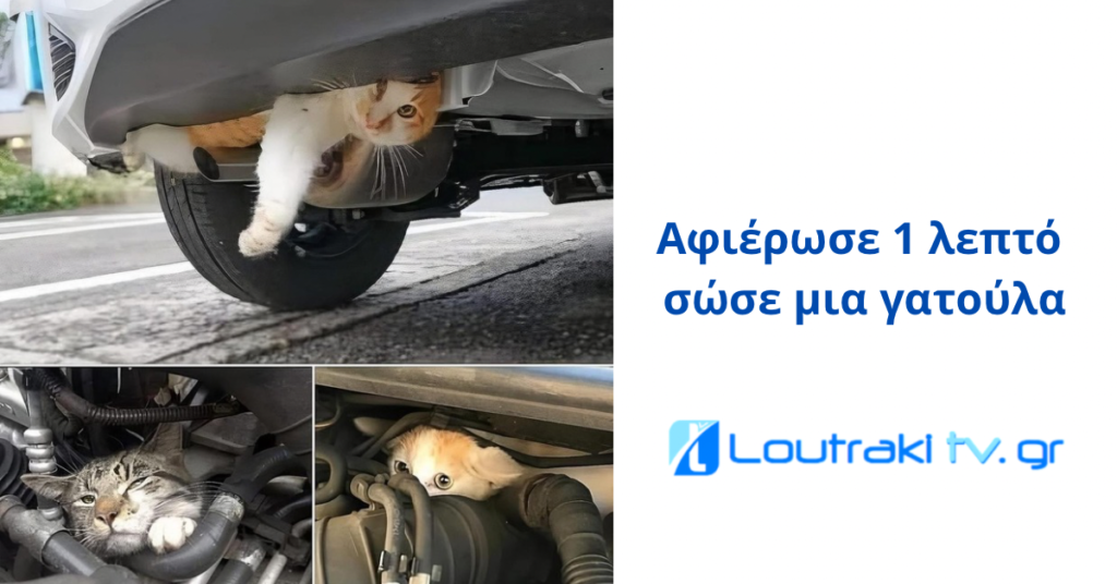 Loutrakitv.gr