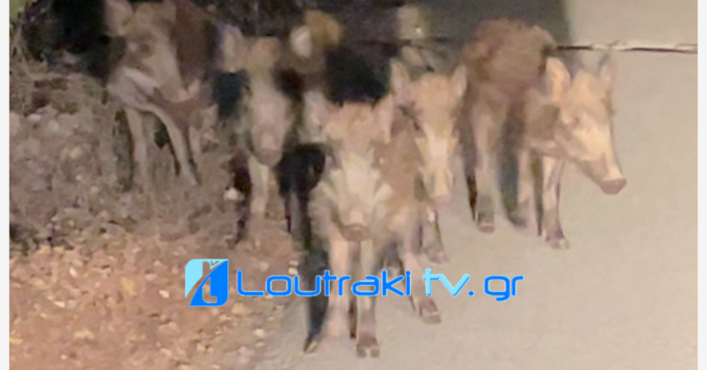 Loutrakitv.gr