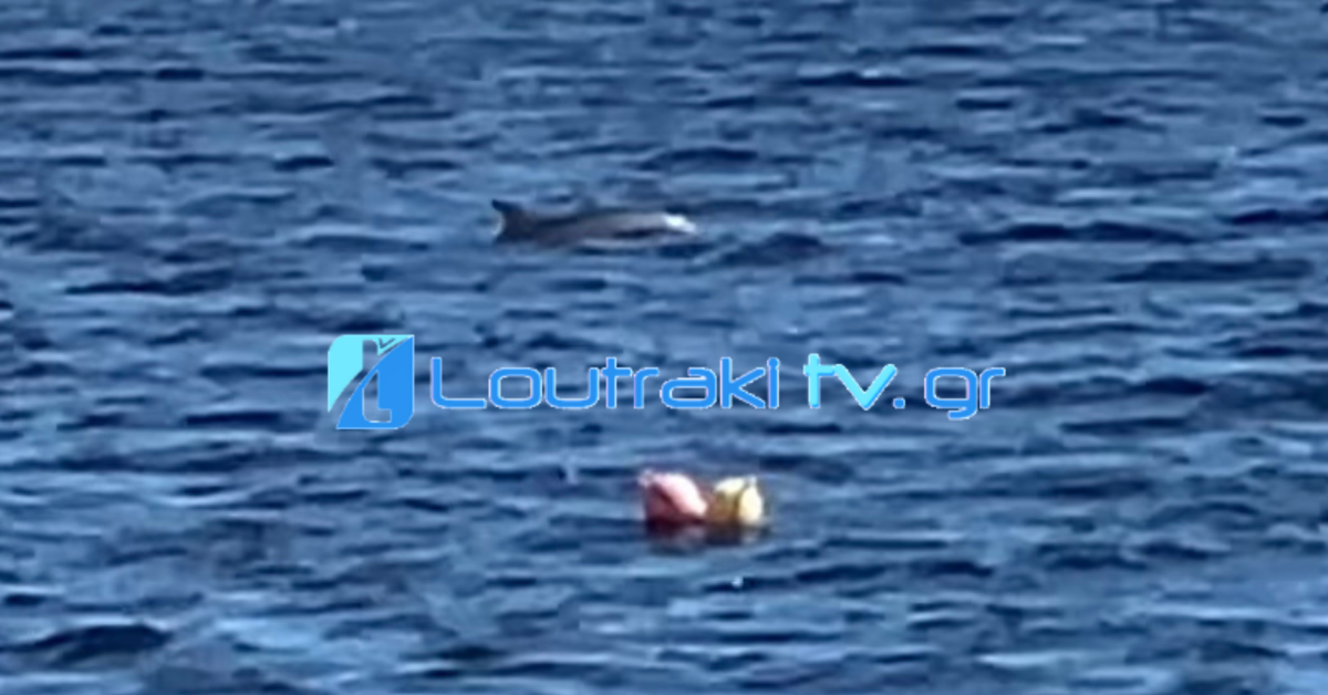 Loutrakitv.gr