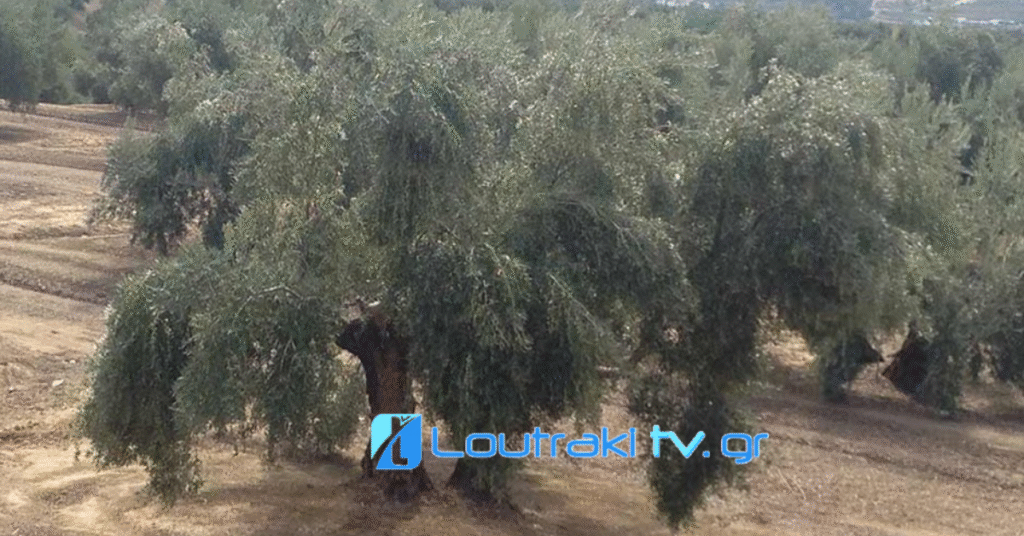 Loutrakitv.gr