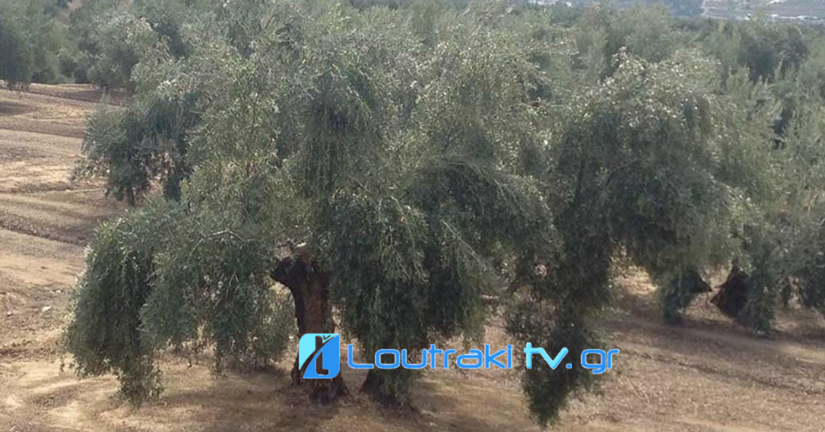 Loutrakitv.gr